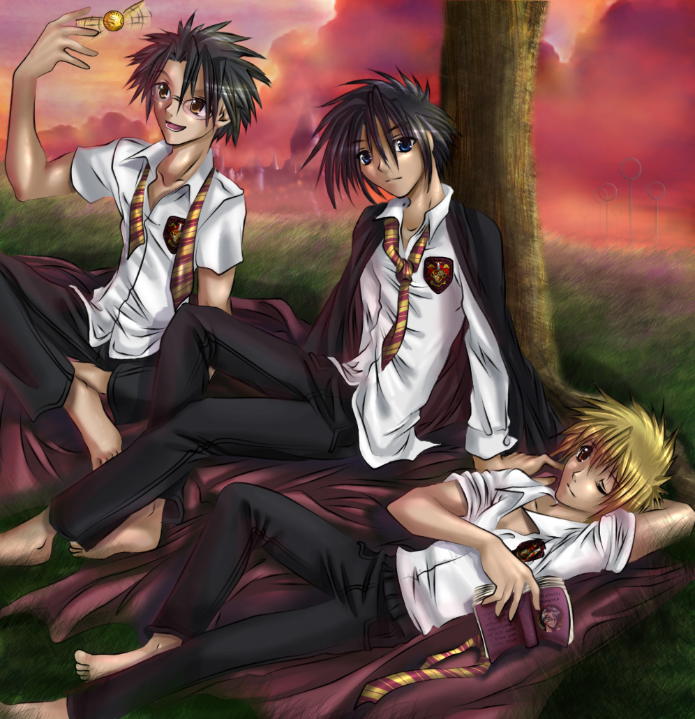 Remus,James a Sirius.jpg