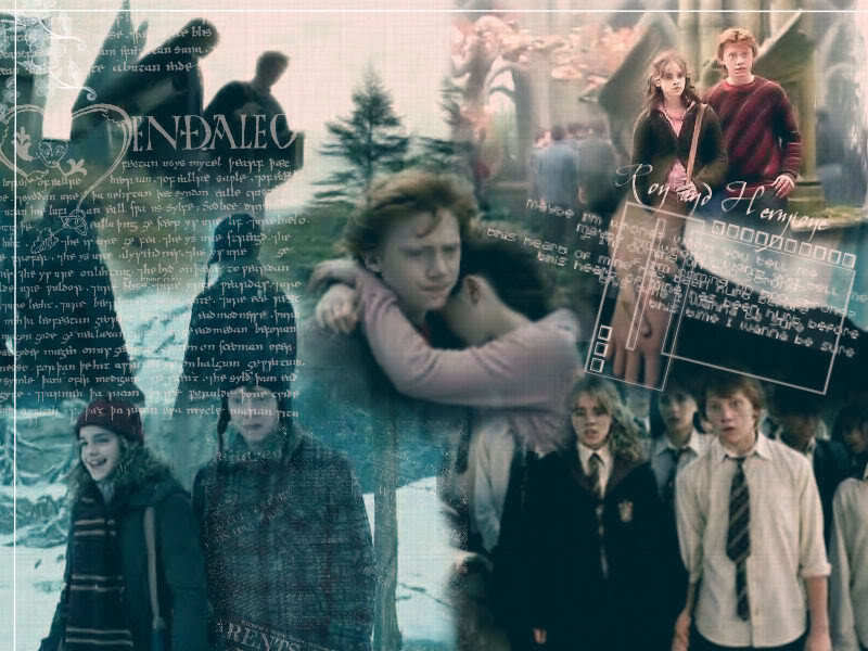Hermy a Ron.jpg